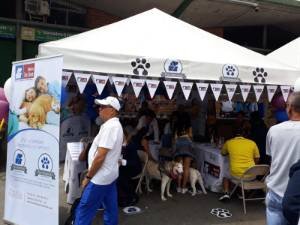 expomascotas 2