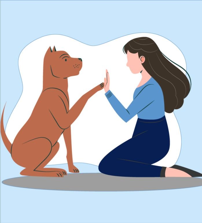 duelo-por-la-mascota