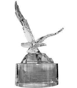 premios SanV-2018-2