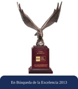 En-Búsqueda-de-la-Excelencia-2013