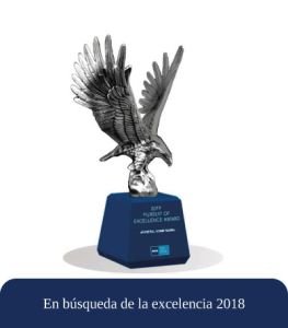 En-búsqueda-de-la-excelencia-2018