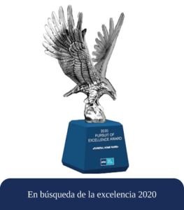 En-búsqueda-de-la-excelencia-2020